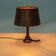 Art Deco wrought iron lamp from the 40s, table lamp with a snake shade.