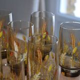 8 amber glasses from the 70s-80s.