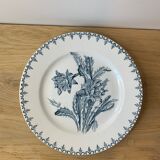 Old Plate
