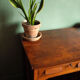 desk of the 40-50