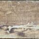 HSP painting Still life with oysters and lemon signed (to be deciphered) early X