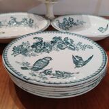 Iron Earth Service Tits