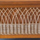 Trunk rattan