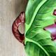 Duo de petits plats, raviers ou vide poches en barbotine