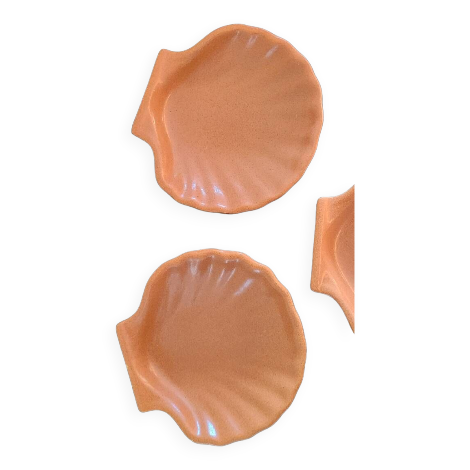 Scallop shell bowl