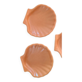 Scallop shell bowl