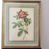 Old framed pink lithograph board