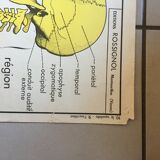 Map of school Rossignol, the skeleton and excretion
