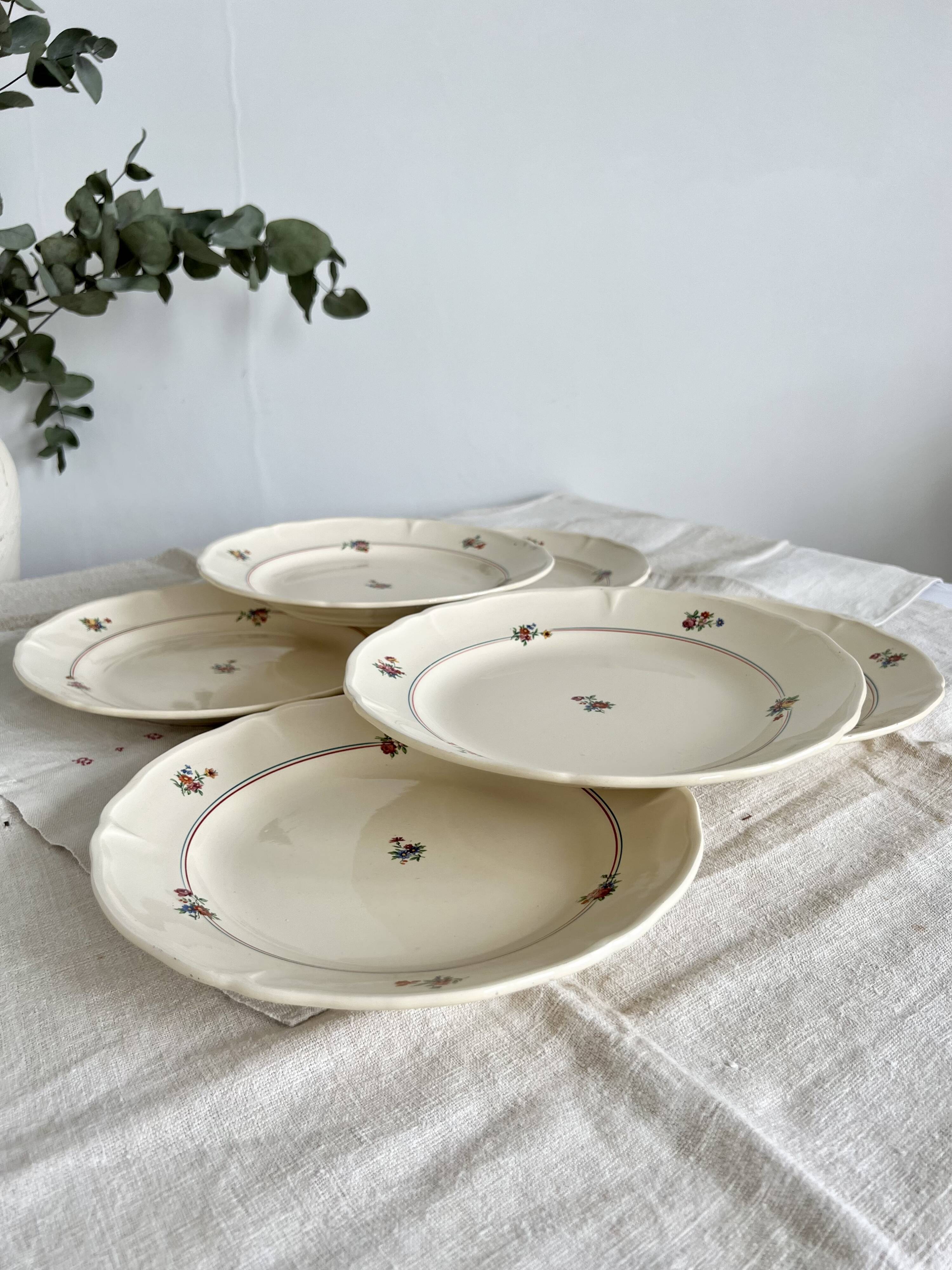 Set of 12 mdl plates - beauce model