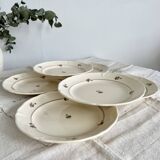 Set of 12 mdl plates - beauce model