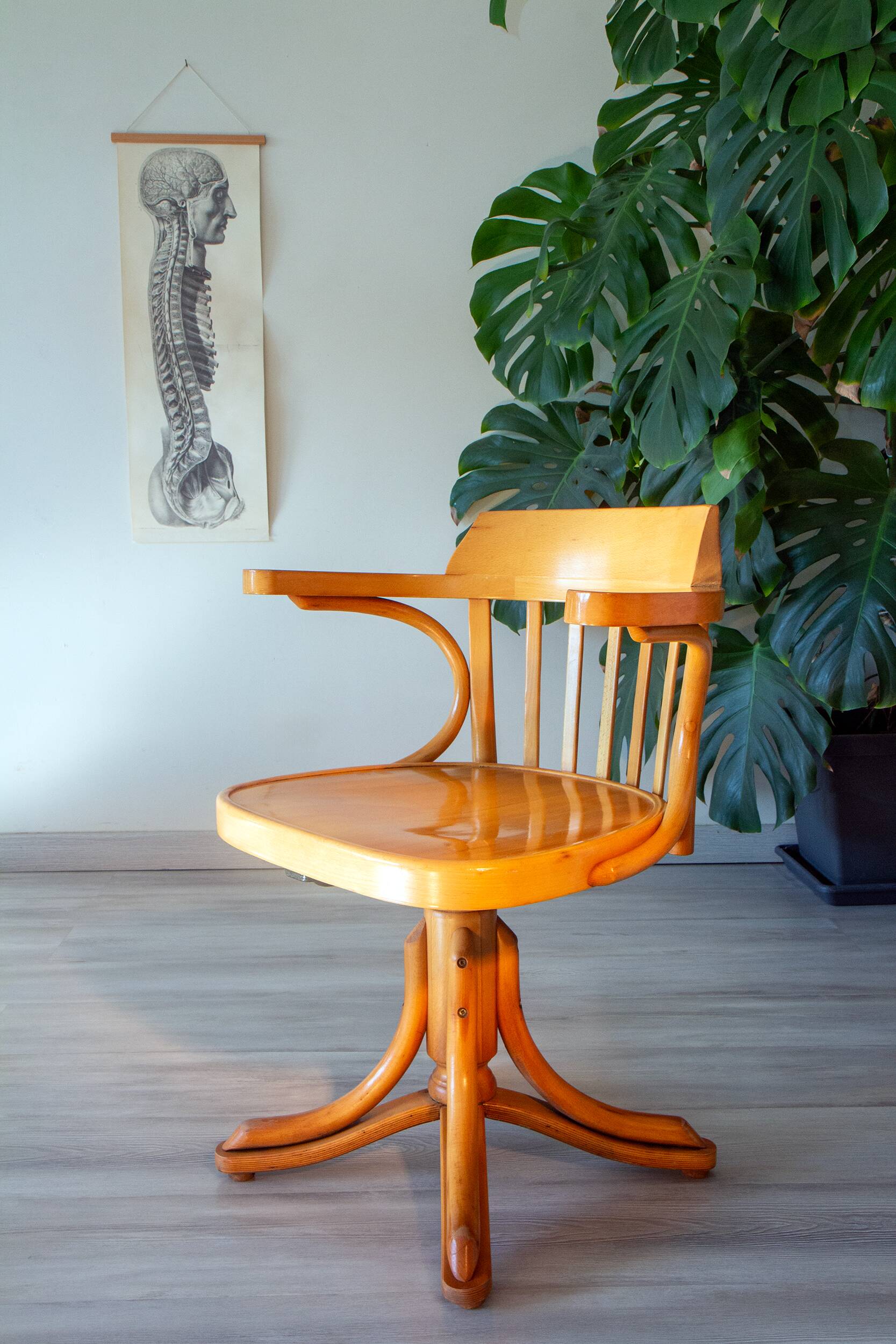 American armchair ZMG Radomsko (formerly Thonet) from the 1970s.