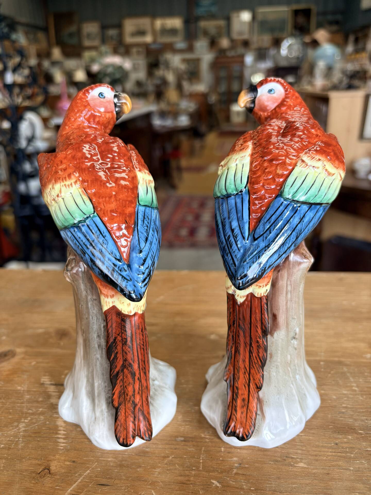 Pair of porcelain parrots Sitzendorf – Germany