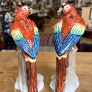 Pair of porcelain parrots Sitzendorf – Germany