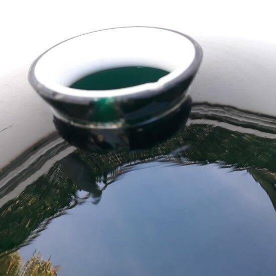 Green opaline slaughter day 70s