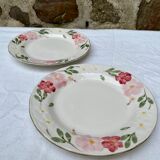 Floral plates