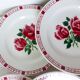 6 flat plates of Digoin Sarreguemines model Saverne
