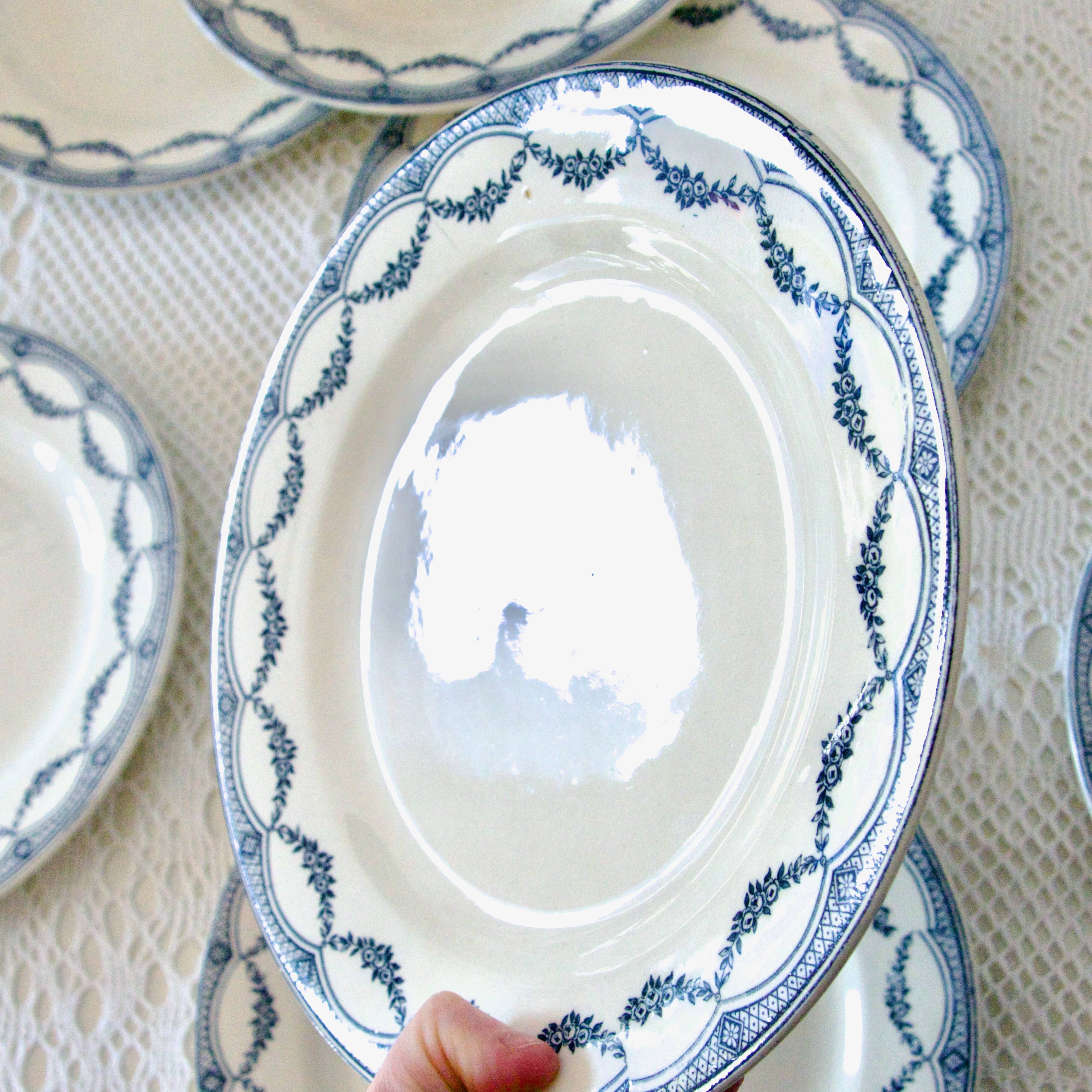 9 19th century ironstone dinner plates from Salins Petit Trianon