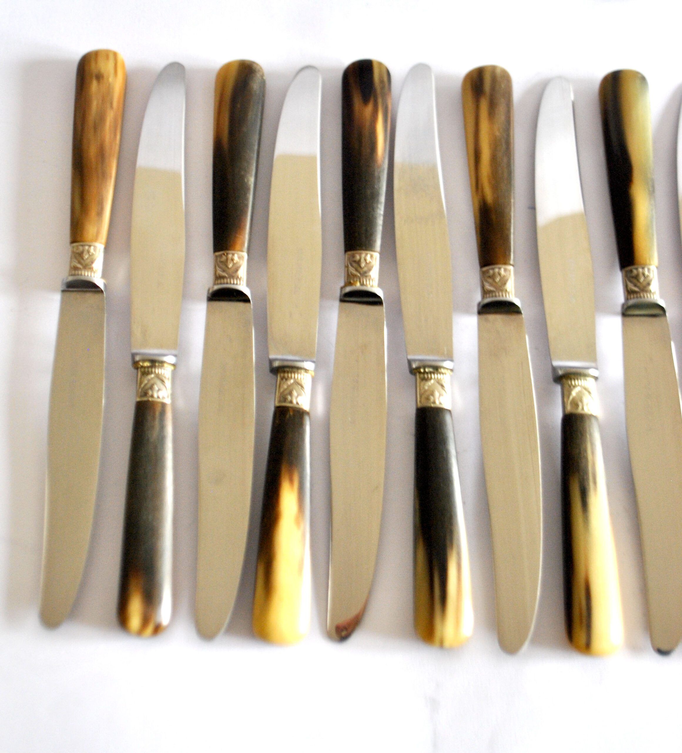Set of 12 vintage table knives with horn handles and stainless steel blades RENEKA 24.5 cm