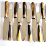 Set of 12 vintage table knives with horn handles and stainless steel blades RENEKA 24.5 cm