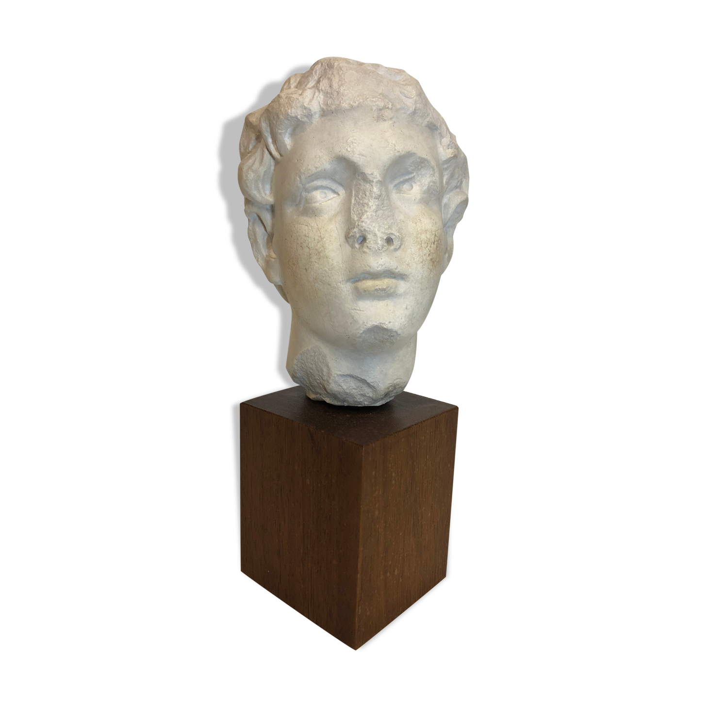 Statue bust roman man