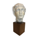Statue bust roman man
