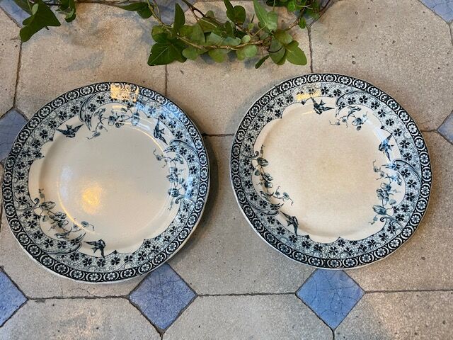 Plates Choisy le Roi