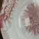 2 anciennes assiettes plates à fleurs rose poinçonner terre de fer hamage st amand "jardinière"