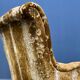Set of two Victorian ladies armchairs from France 19th century