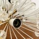 XXL Austrian Dandelion Wall or Ceiling Lamp by Emil Stejnar for Rupert Niko