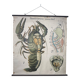 Vintage XL linen school chart – the lobster