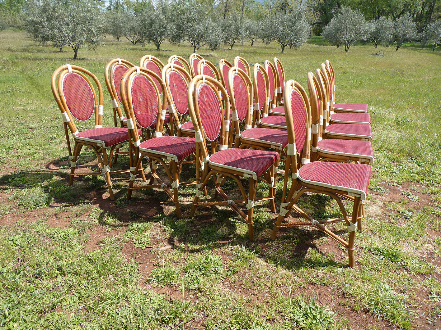 Lot of 21 chairs