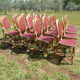 Lot of 21 chairs