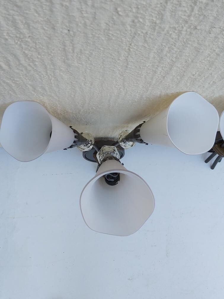 Pair of arum sconces edition Lunel Paris 50s