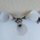 Pair of arum sconces edition Lunel Paris 50s