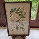 Botanical board