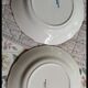 2 small antique Sarreguemines plates - Blue landscape decoration