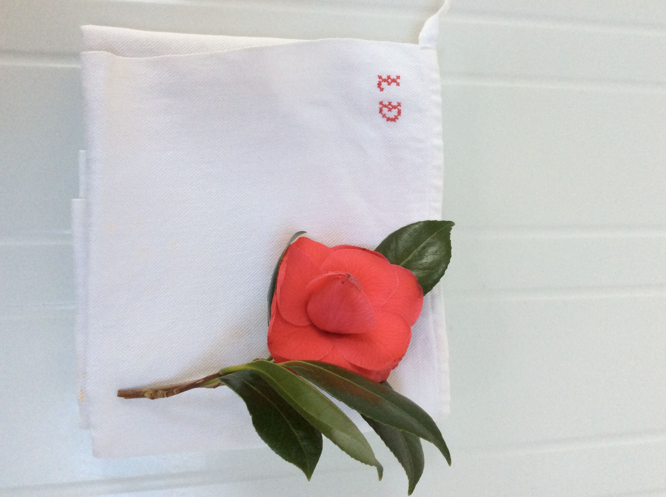 Old tea towel in thick cotton