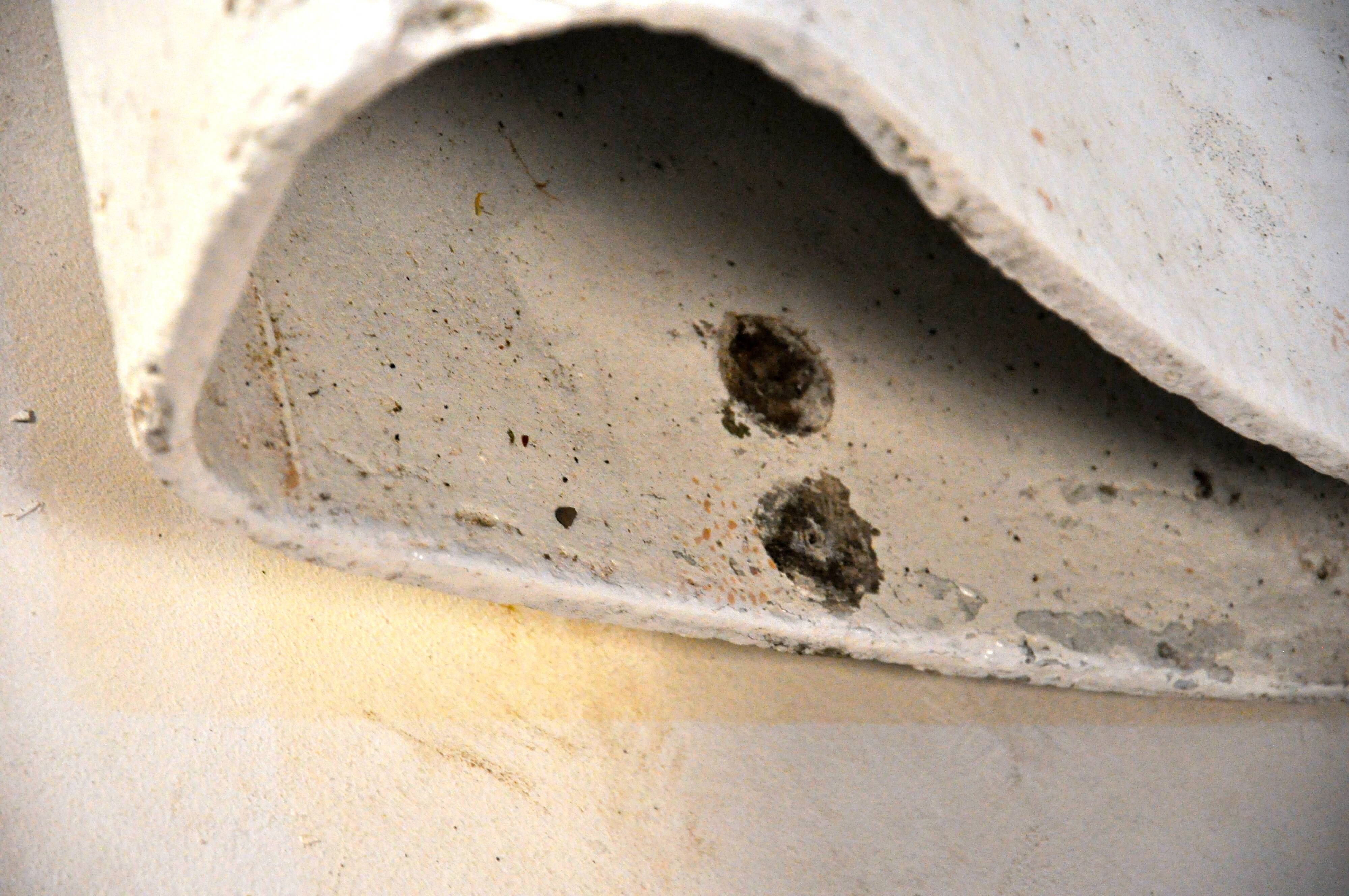 Armchair Ruban by Willy Guhl