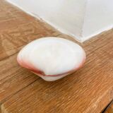 Small seashell: Codakia tigerina