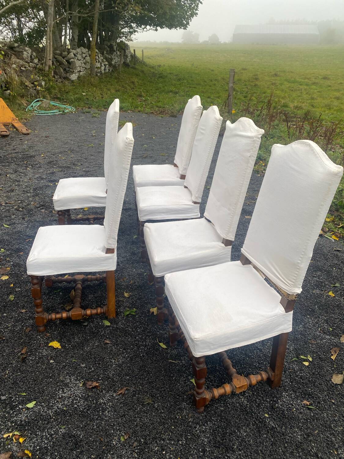 6 Louis XIII walnut chairs