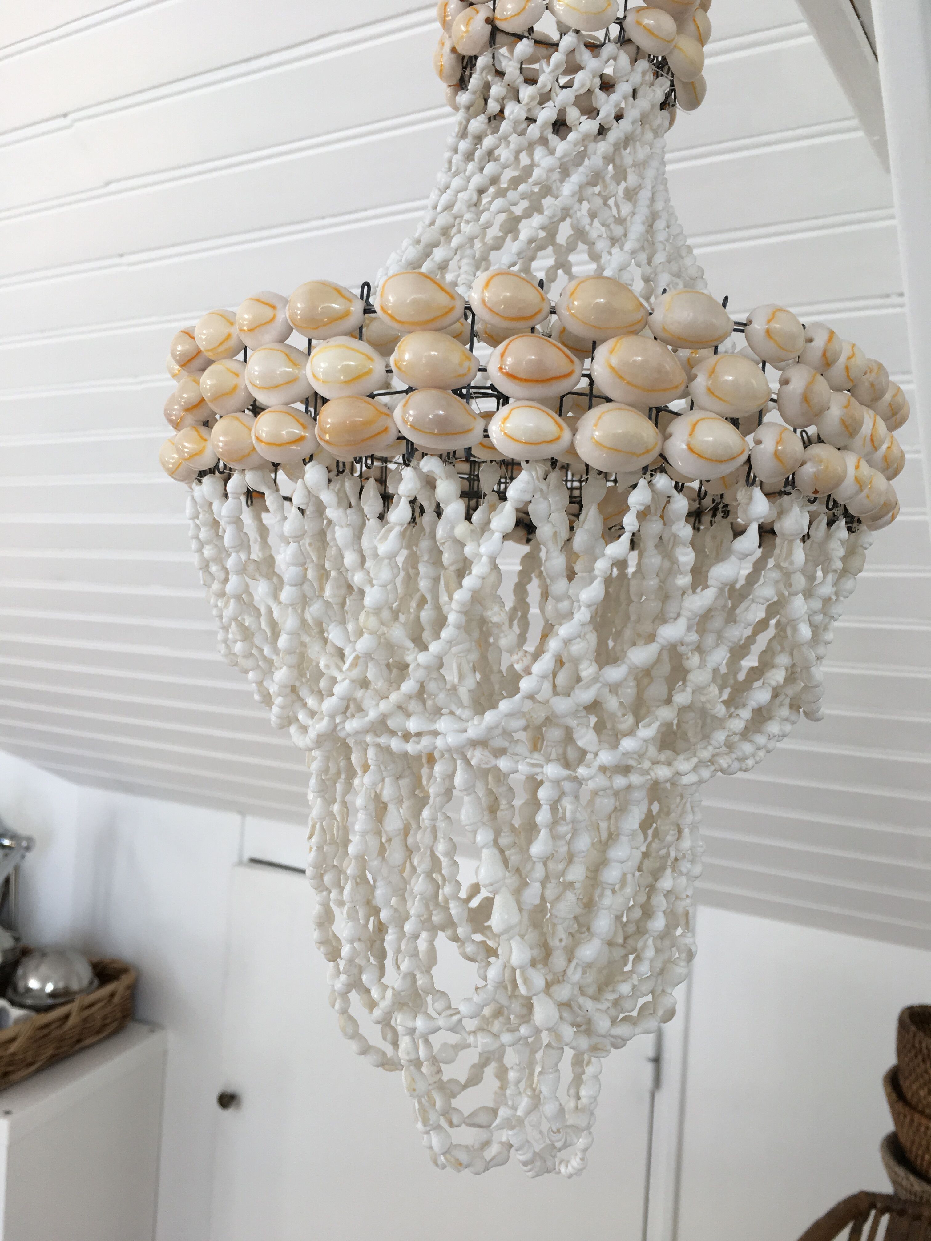 Shell chandelier