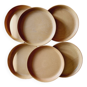 Set of 6 stoneware dinner plates