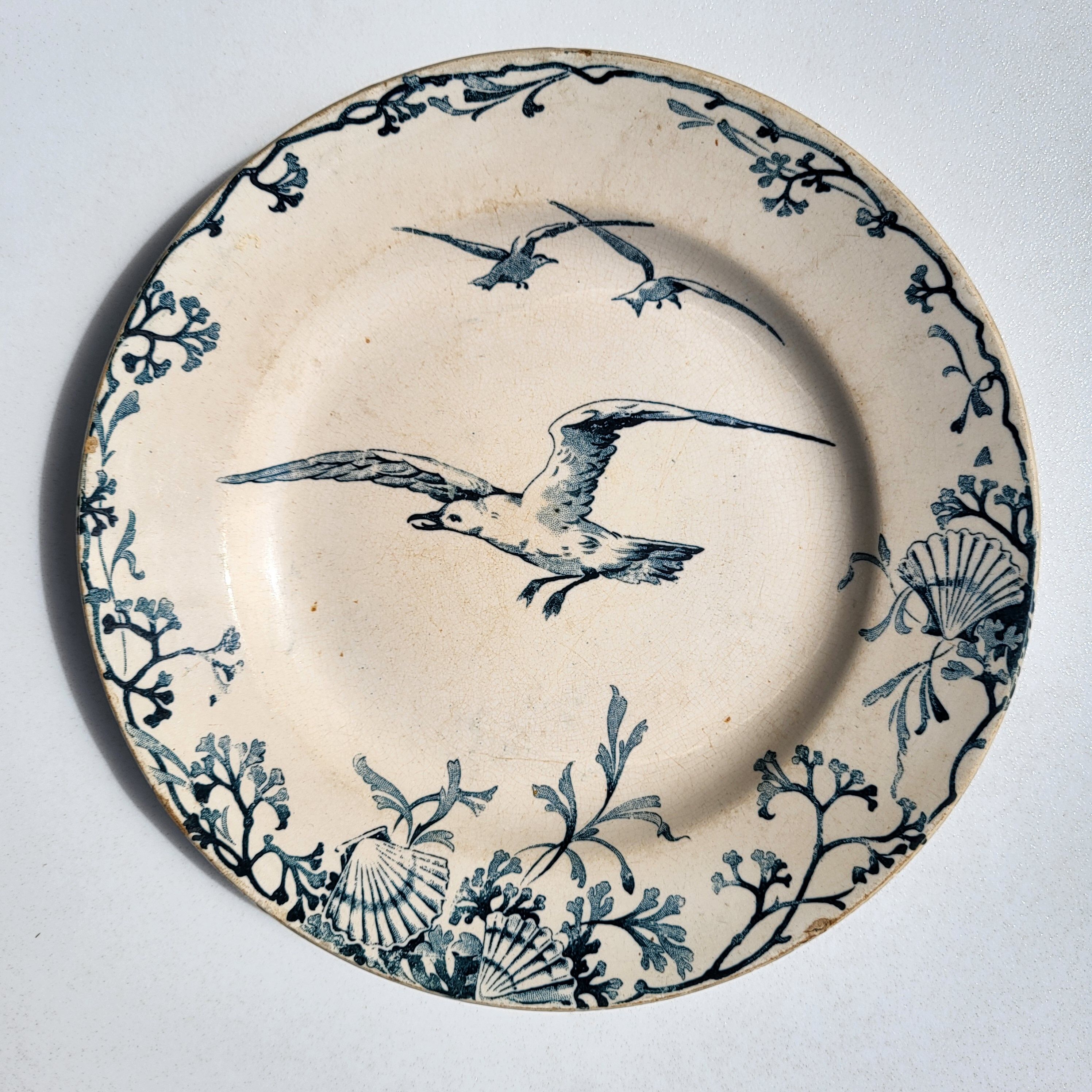 Plate Earth & Sea Seagulls & Seashells
