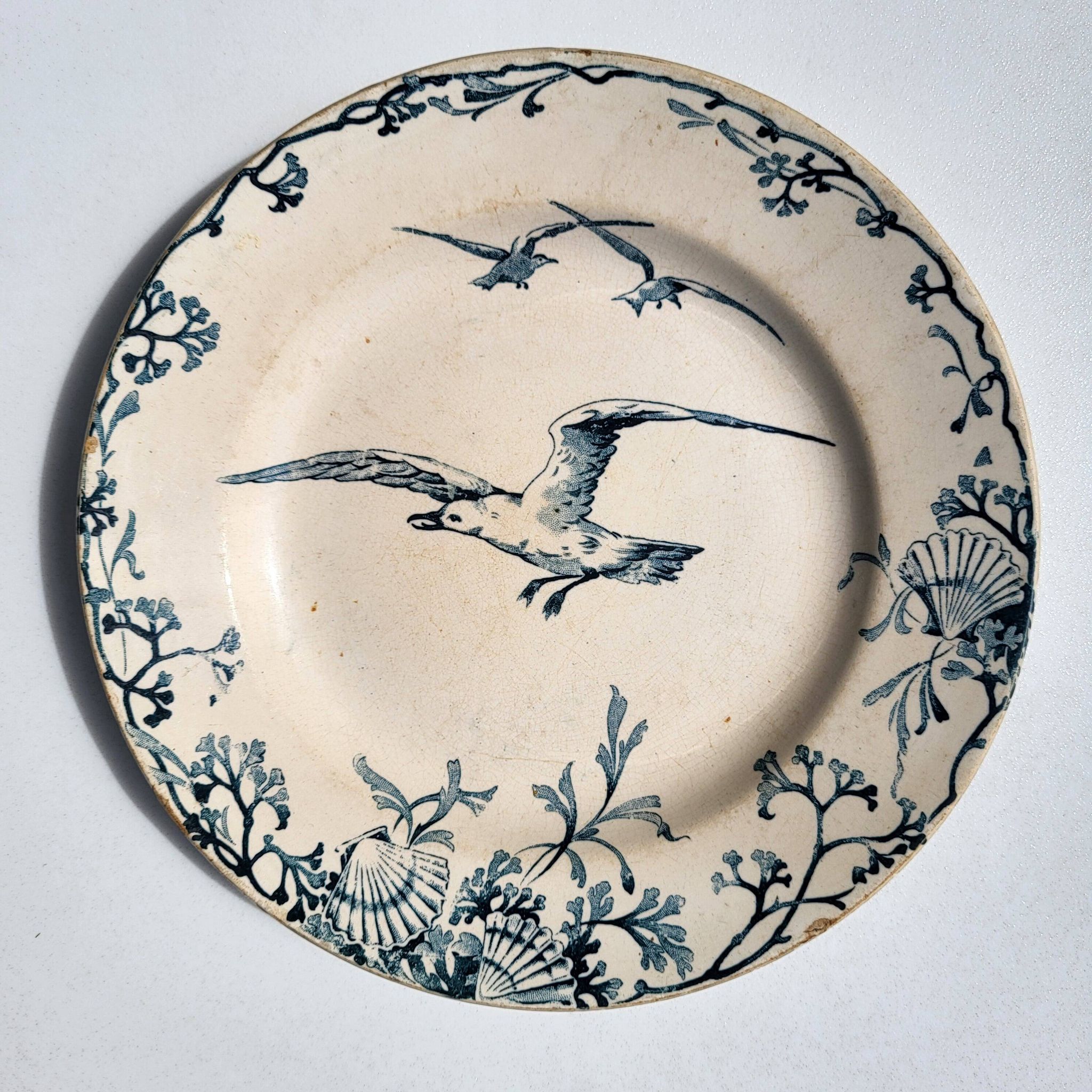 Plate Earth & Sea Seagulls & Seashells
