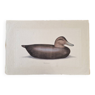 La Roche Laffitte (Born in 1943) - Watercolour drawing on fabric - Duck