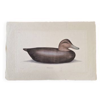 La Roche Laffitte (Born in 1943) - Watercolour drawing on fabric - Duck