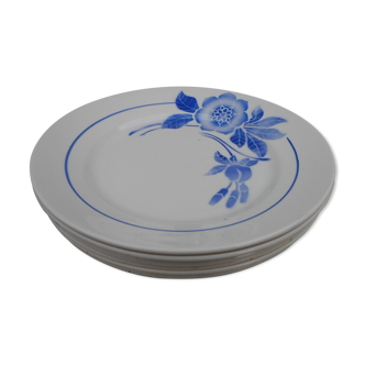 Series of 6 plates