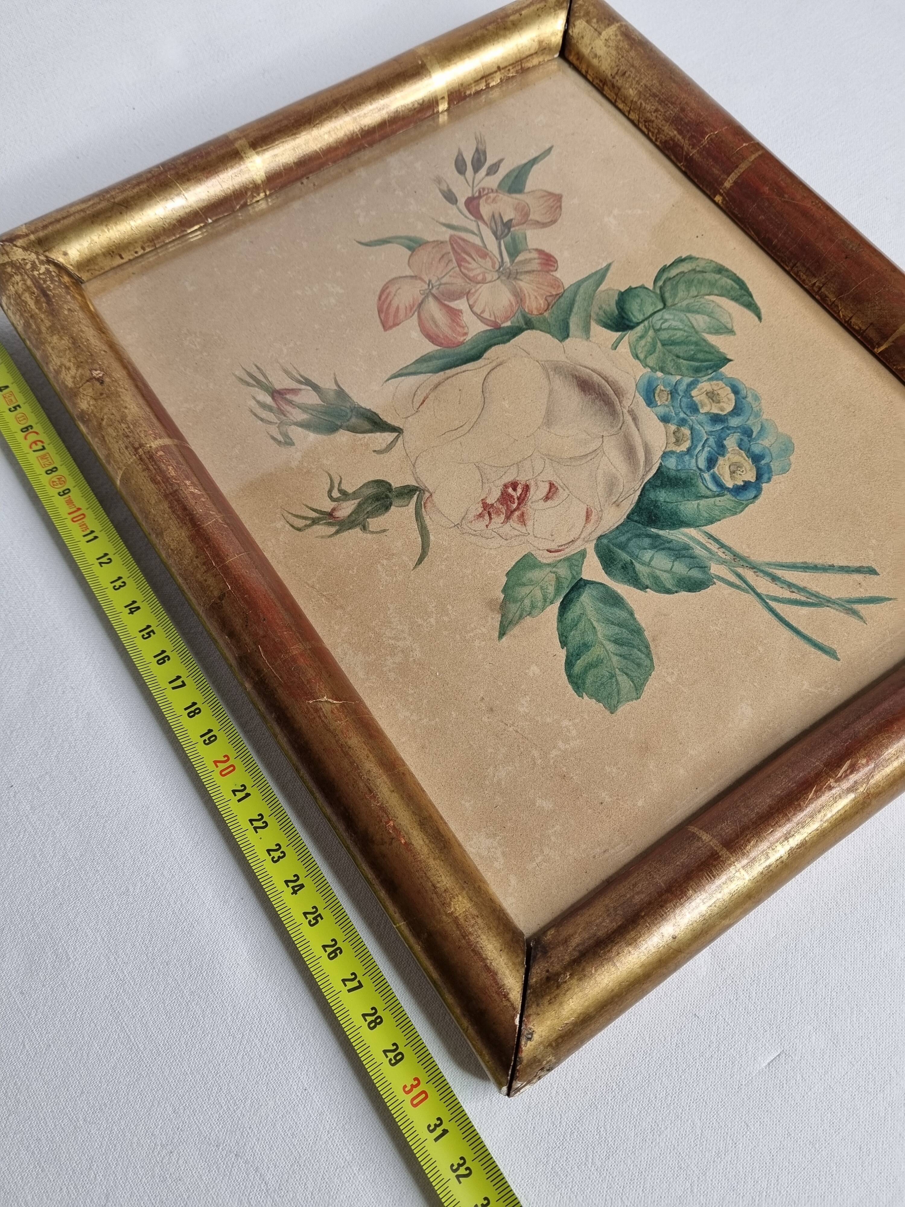 Original framed drawing from the beginning of the 19th century inspired by the work of Pierre-Joseph Redouté