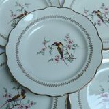 Gien Tokio Tokyo dinner plates