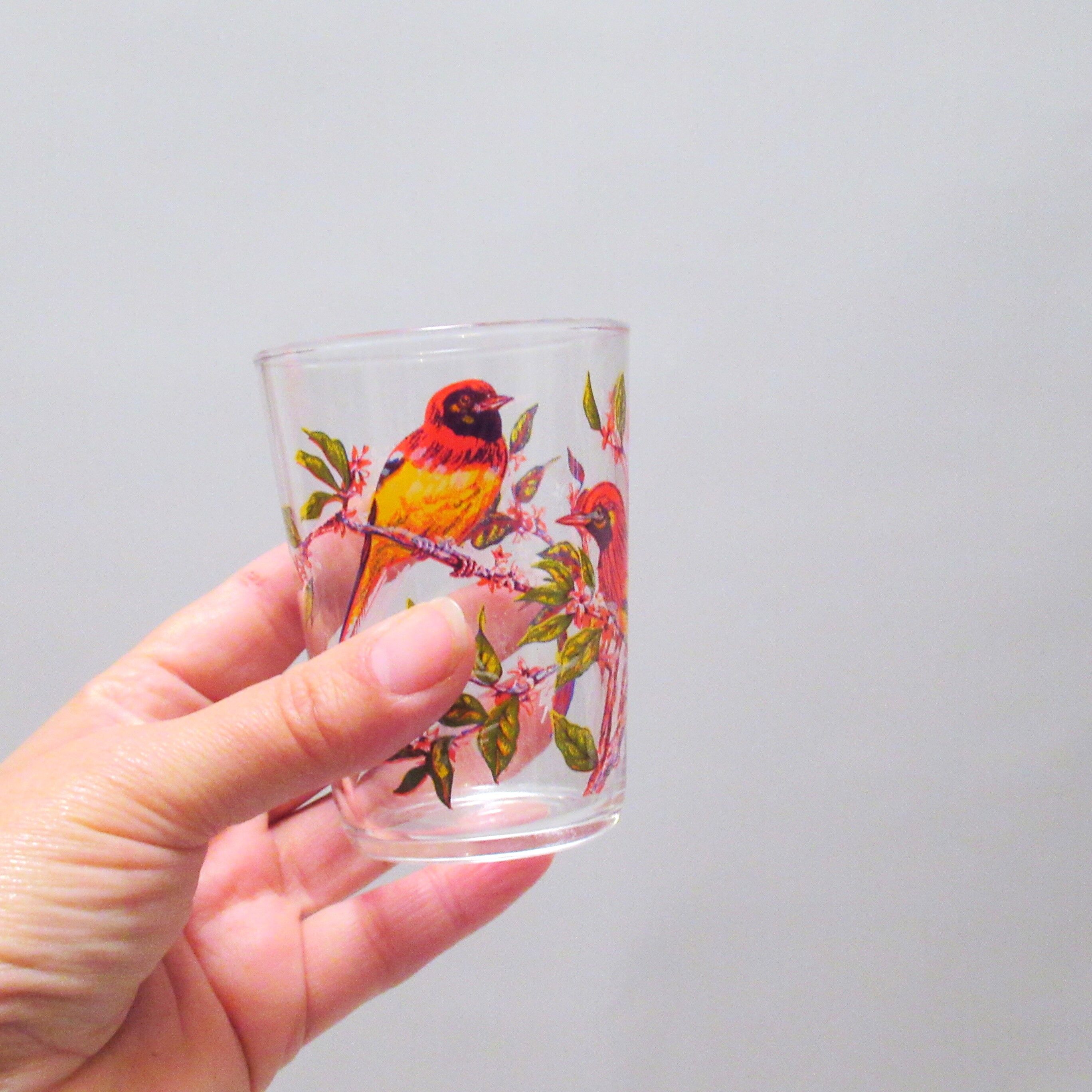Set of six cups birds 50s